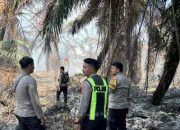Personel Polres Mateng Berjibaku Padamkan Kebakaran Lahan Gambut