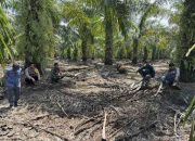 Bhabinkamtibmas Siaga Ditengah Kemarau, Tinali Cegah Karhutla