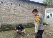 Bhabinkamtibmas bergerak di tengah kemarau, Desa Topoyo cegah api sebelum menjadi bencana