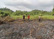 Bhabinkamtibmas Bersama Warga Berjibaku Padamkan Api, Kebakaran Lahan Di Lembah Hopo Berhasil Dikendalikan
