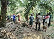 Bhabinkamtibmas Polsek Tobadak Turun Tangan Bangun Jembatan Penghubung Dusun